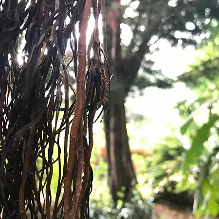 Horská chata Il Giardino Romantico Santa Flavia