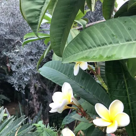 Il Giardino Romantico Horská chata *