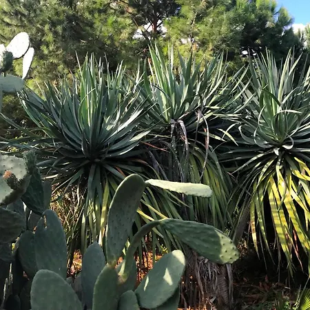 Il Giardino Romantico *