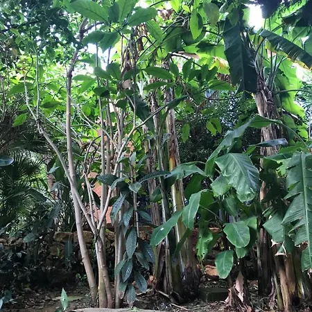 Il Giardino Romantico *