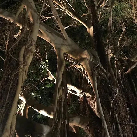 Horská chata Il Giardino Romantico *