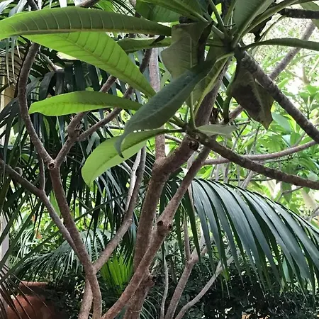 Horská chata Il Giardino Romantico Santa Flavia