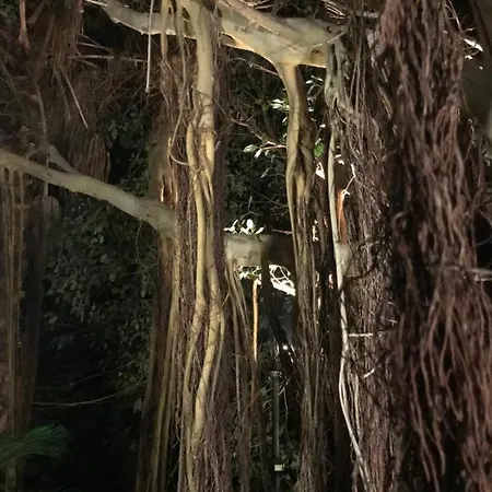 Horská chata Il Giardino Romantico *