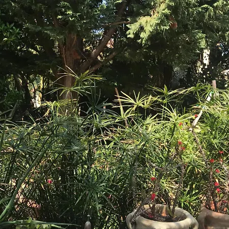 Il Giardino Romantico Horská chata Santa Flavia