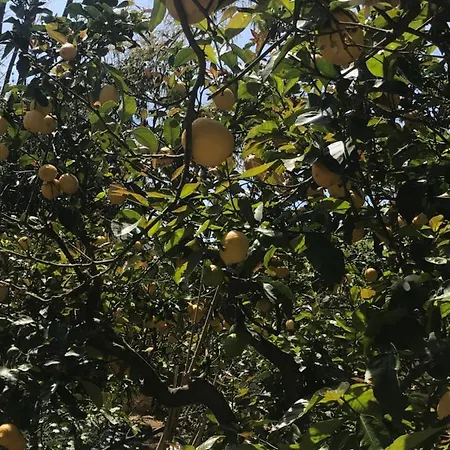 Il Giardino Romantico Horská chata *