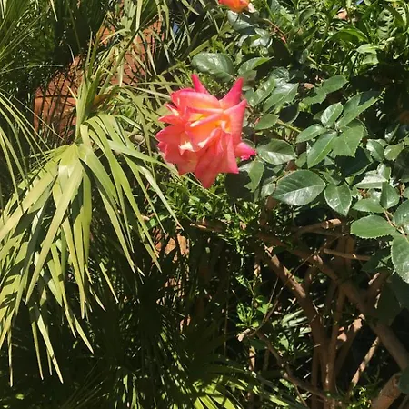 Horská chata Il Giardino Romantico Santa Flavia