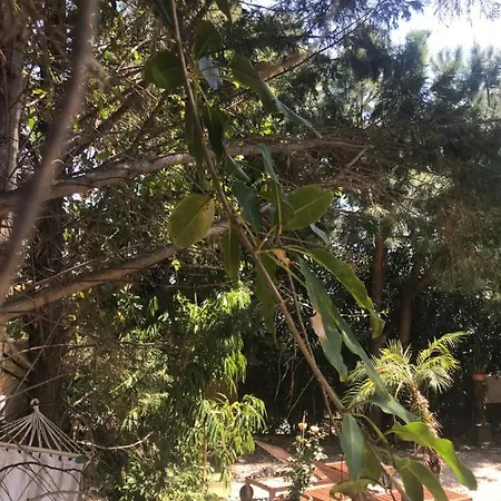 Il Giardino Romantico Santa Flavia