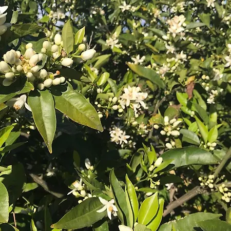 Horská chata Il Giardino Romantico *