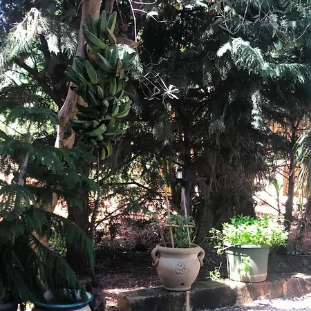 Horská chata Il Giardino Romantico *
